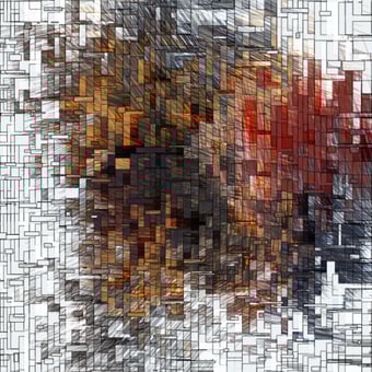 Displaced #23