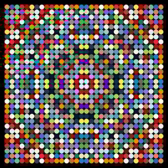 DOT #31