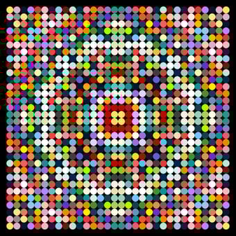 DOT #61