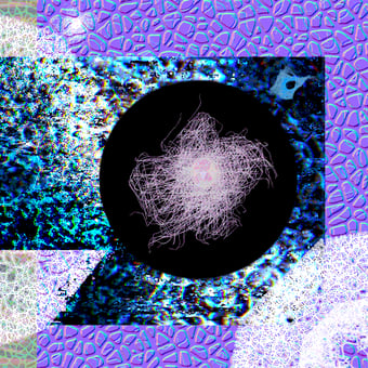 E̷͔̔̑N̴͚̊͘T̶̲́A̵͎̾N̴͍̮͗G̶͚̼͌͂L̶̻̣͝Ȇ̵D̴͕̫͂ #1