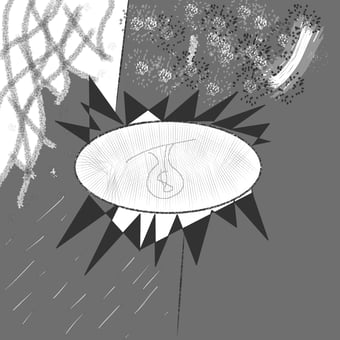 the light