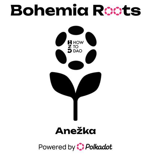 Bohemia Roots: How to DAO?